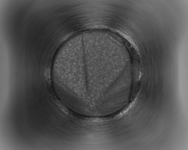 X0000092300881200710121445