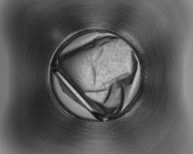 X0000092300884200710121445