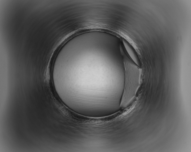 X0000092300885200710121445