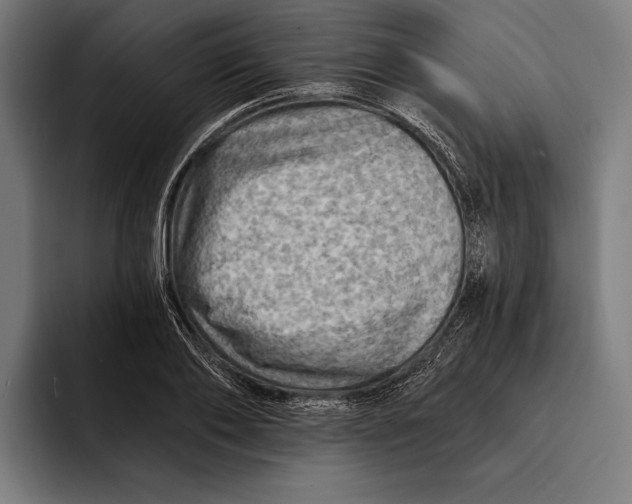 X0000092300886200710121445