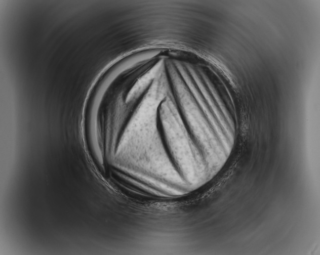 X0000092300888200710121445