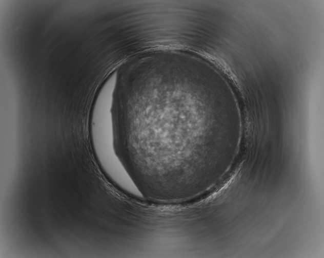 X0000092300889200710121445