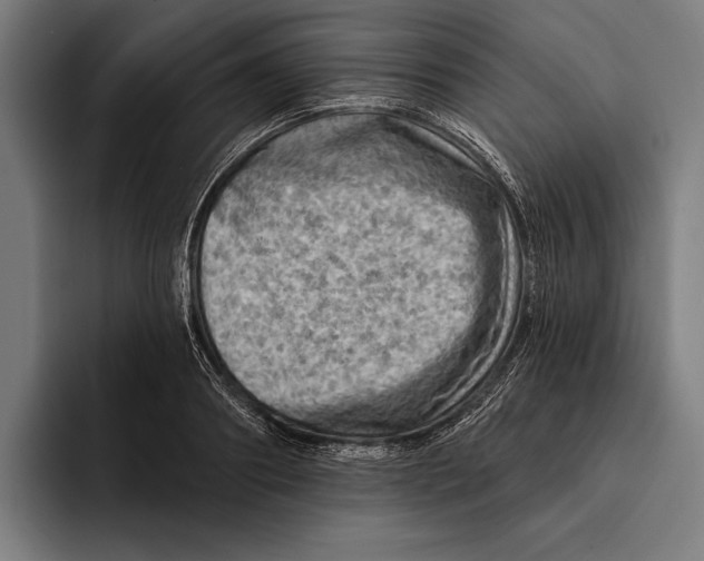 X0000092300890200710121445