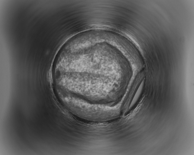 X0000092300891200710121445