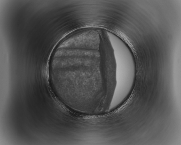 X0000092300892200710121445