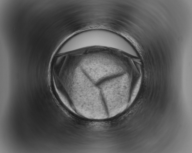 X0000092300894200710121445