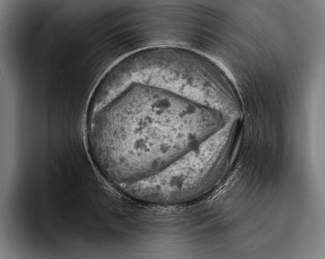 X0000092300895200710121445