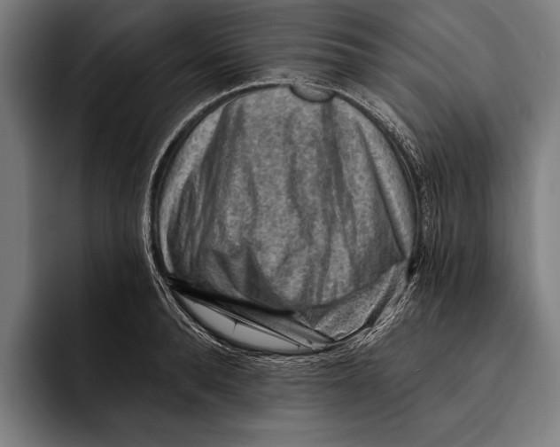 X0000092300896200710121445