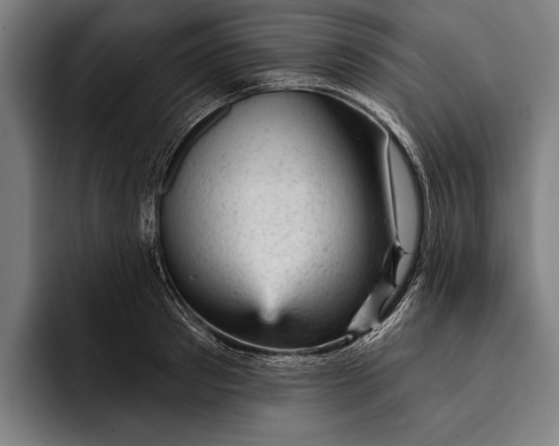 X0000092300897200710121445