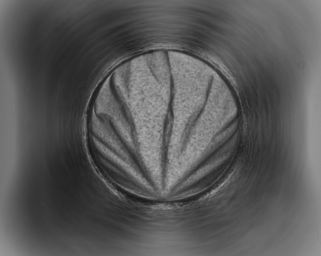 X0000092300898200710121445