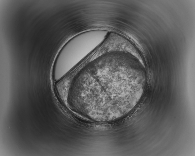 X0000092300899200710121445