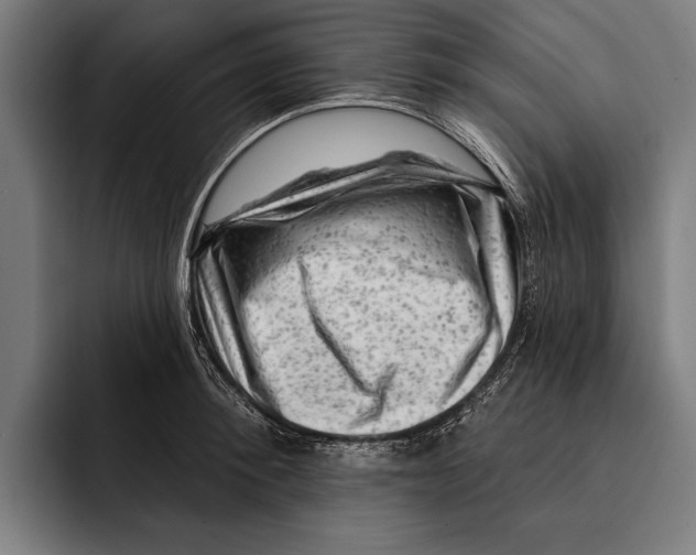 X0000092300900200710121445