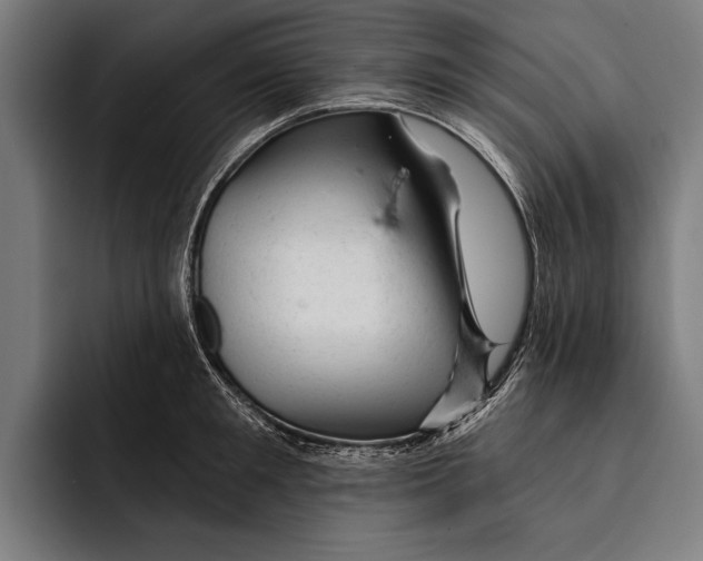 X0000092300901200710121445