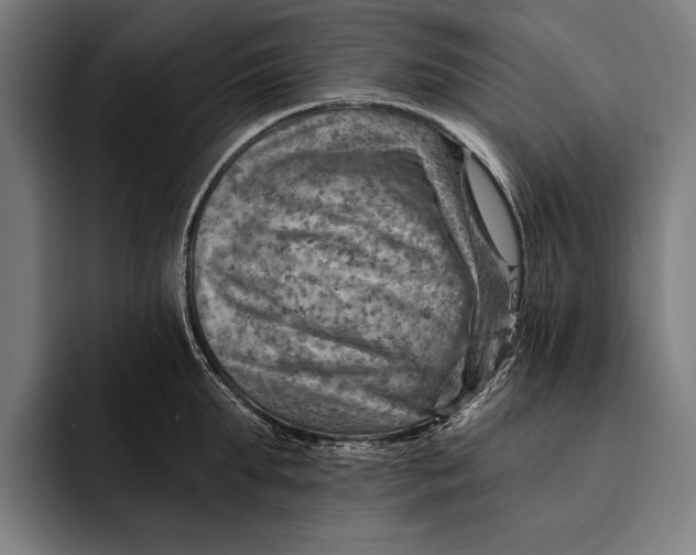 X0000092300903200710121445