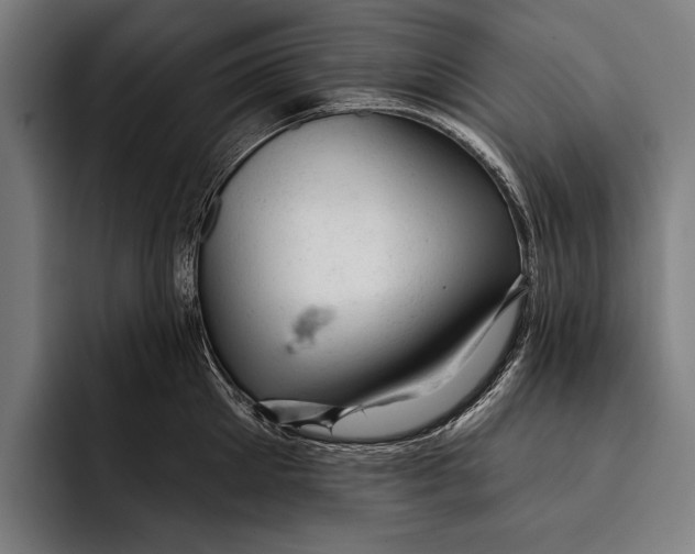 X0000092300905200710121445