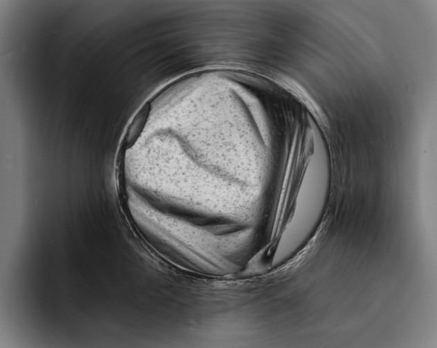 X0000092300908200710121444