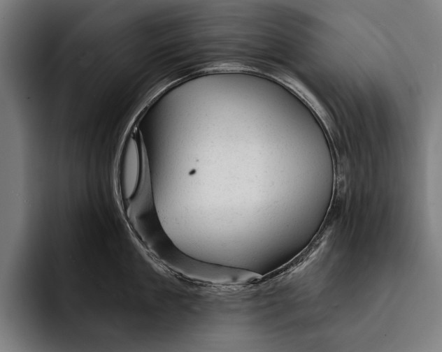 X0000092300909200710121444