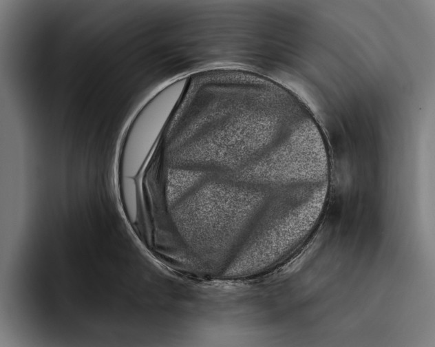 X0000092300910200710121444