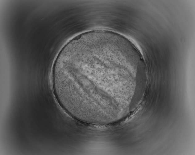 X0000092300911200710121444