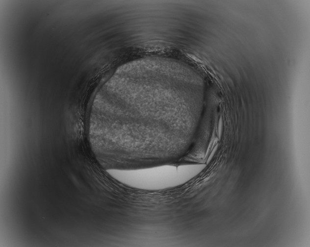 X0000092300916200710121444