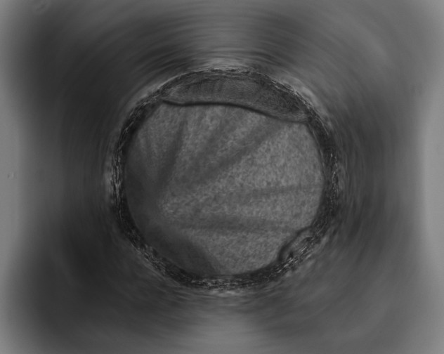 X0000092300920200710121444