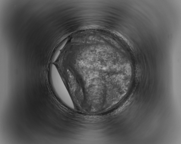 X0000092300921200710121444