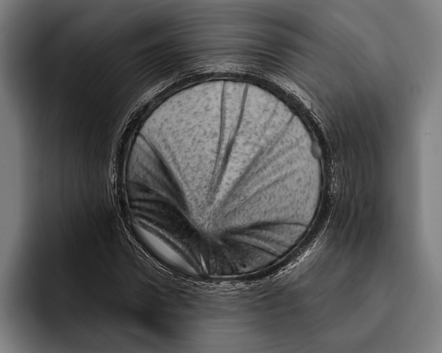 X0000092300922200710121444