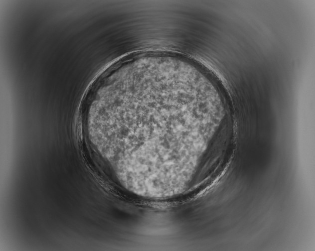 X0000092300925200710121444