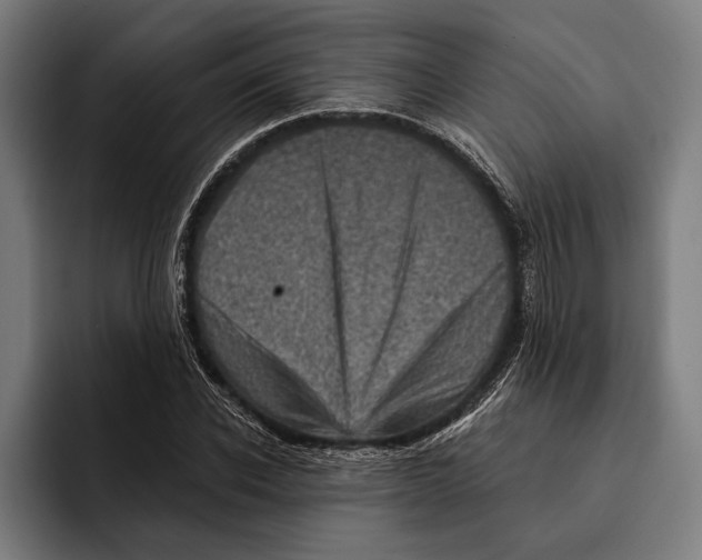 X0000092300926200710121444