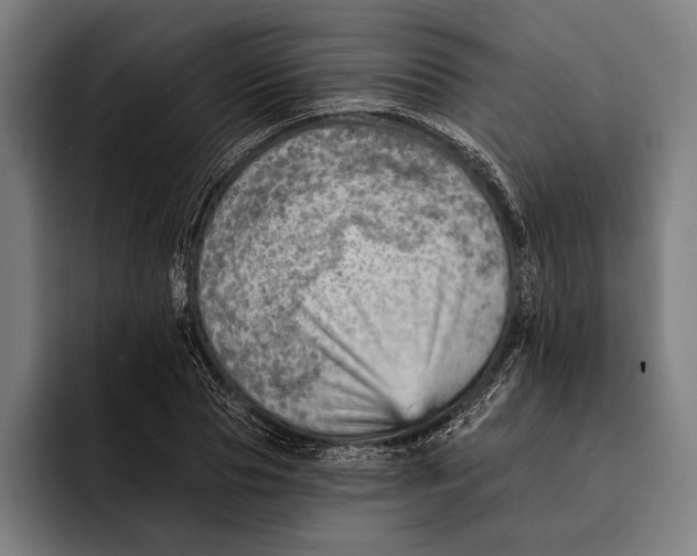 X0000092300929200710121444