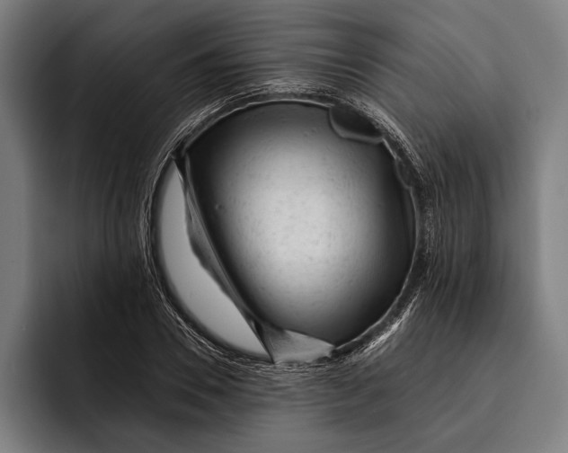 X0000092300930200710121444