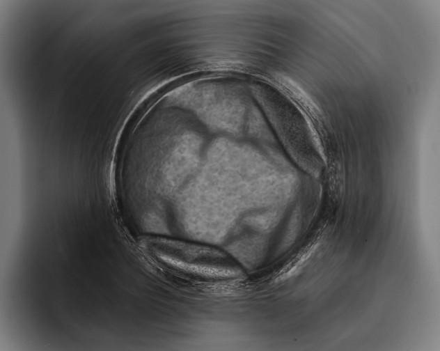 X0000092300932200710121444