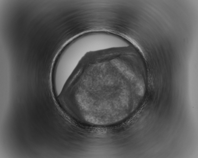 X0000092300935200710121444