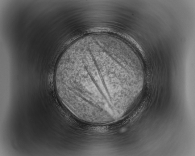 X0000092300937200710121444