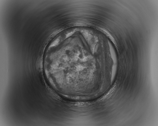 X0000092300938200710121444