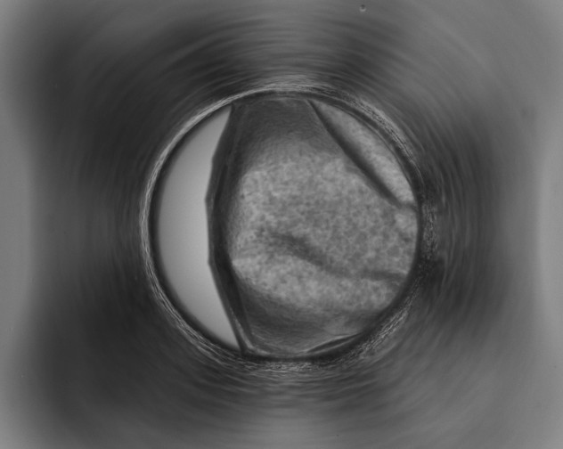 X0000092300939200710121444