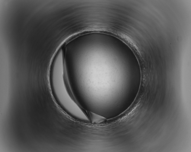 X0000092300942200710121444