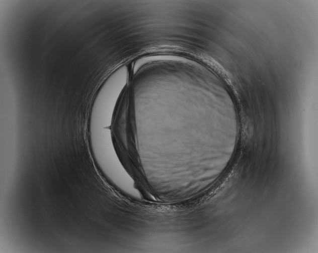 X0000092300945200710121444