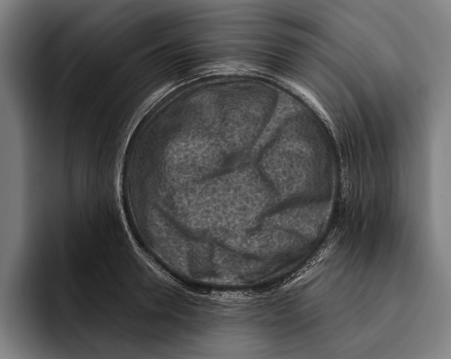 X0000092300946200710121444