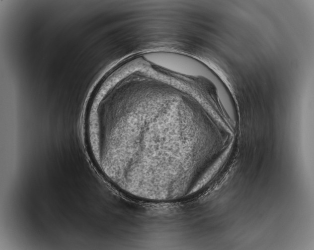 X0000092300949200710121444