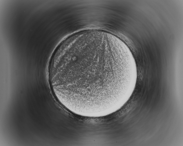 X0000092300950200710121444