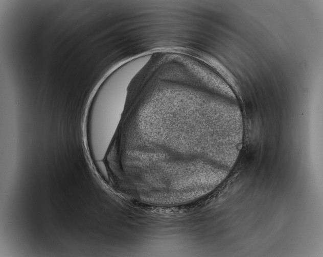 X0000092300955200710121444