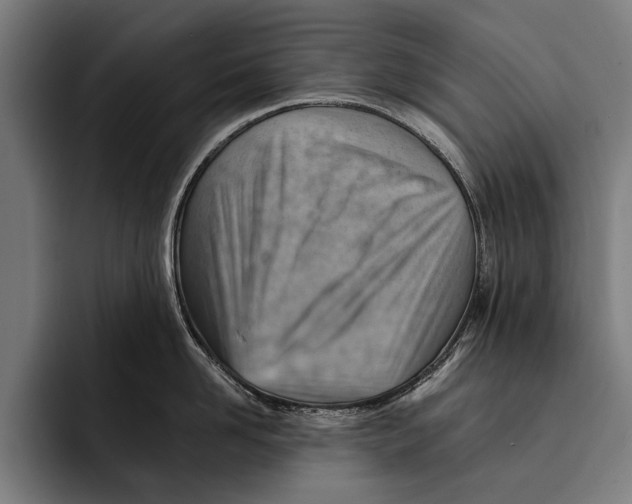 X0000092300958200710121444