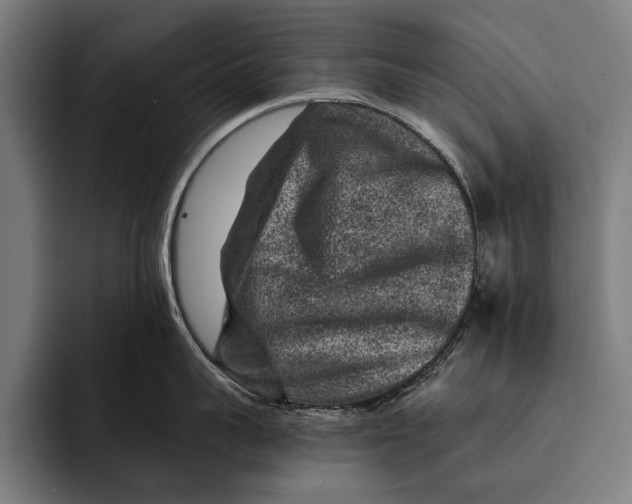 X0000092300959200710121444