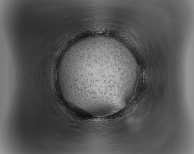 X0000092300961200710121444