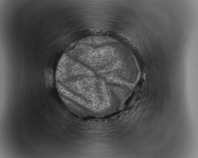 X0000092300963200710121444