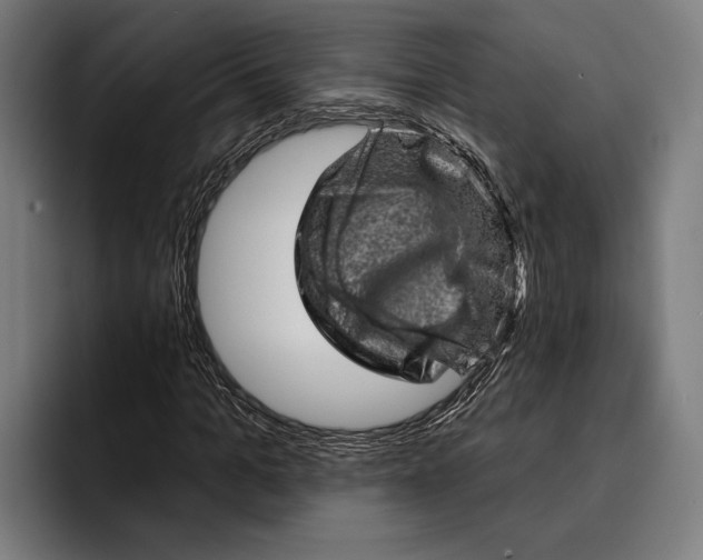 X0000092300965200710121444