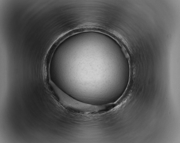 X0000092300973200710121444