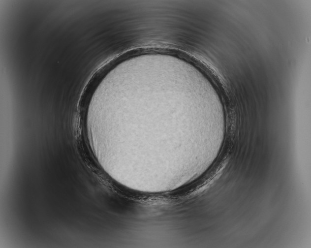 X0000092300974200710121444