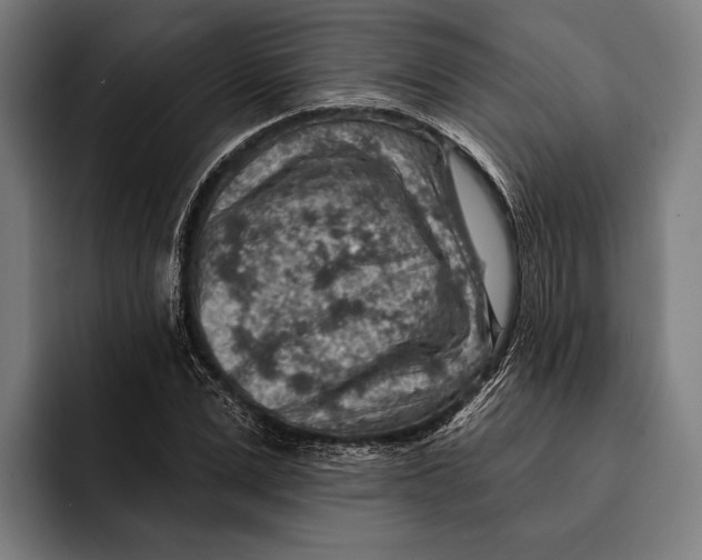 X0000092300975200710121444